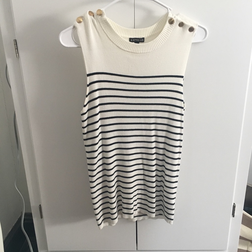 Express Sleeveless Sweater